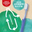 【Colgate 高露潔】RecyClean環境友善牙刷1入(小巧刷頭)