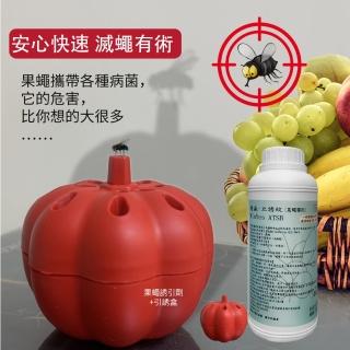 【穩贏-立誘蚊】針對擾人的果蠅誘殺液餌劑500ml一瓶裝 贈兩個紅色小南瓜(只需放置 即可殺滅果蠅)