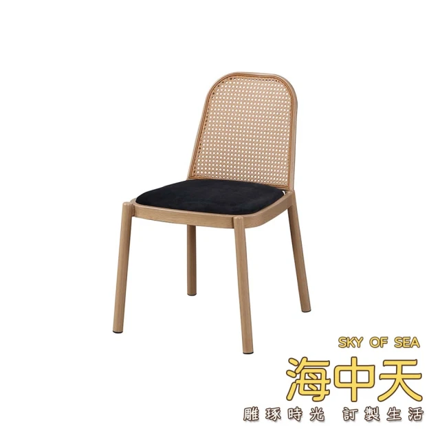 便盆椅 不銹鋼 靠背摺疊款(現代風格廁所設計#坐廁椅#坐便椅