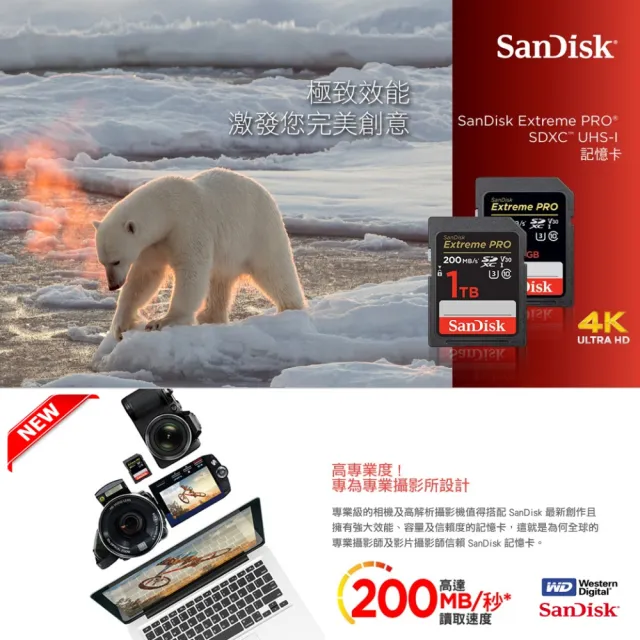 【SanDisk 晟碟】[全新版 再升級] 512GB Extreme PRO SDXC V30  記憶卡 200MB/s(專業攝影 原廠永久保固)