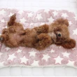 【QIDINA】2入 寵物柔軟法蘭絨保暖寵物墊 S/M(寵物睡墊 寵物窩 寵物毯 寵物睡窩 貓咪床)