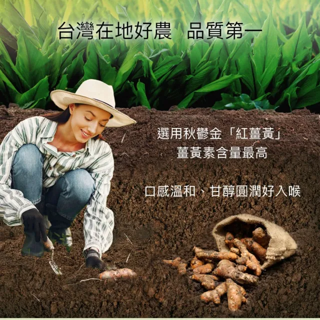 【High Tea 伂橙】薑茶4種任選12入x1盒(無咖啡因、100%無添加、無糖茶、隨身包、獨立包裝)