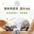 【貓後苑CatGarden】特級貓薄荷草30g/罐(貓草/貓零食)