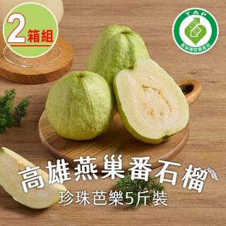 匯通-高雄燕巢番石榴2箱(珍珠芭樂 5斤/箱;約6~8顆/箱)