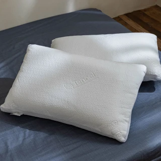 【飛航模飾】萊賽爾天絲可水洗獨立筒枕