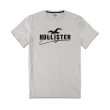 【HOLLISTER Co】大LOGO刺繡短T(10款可選)