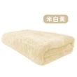 【OKPOLO】台灣製造長毛絨超激吸水大浴巾-2入組(8倍吸水力 顏色繽紛)