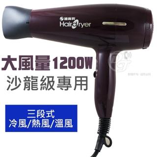 【達新牌】1200W沙龍級吹風機(TS-2626)