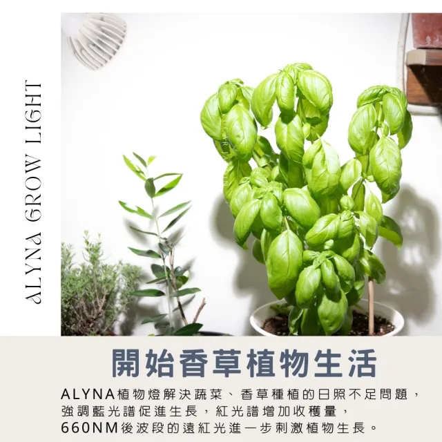【微糖花植間】Alyna植物燈和植物燈架(植物生長燈/全光譜植物燈)