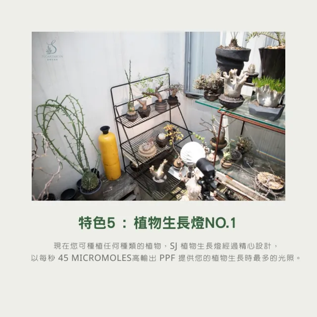 【微糖花植間】Alyna植物生長燈加高組(160cm植物燈架/全光譜植物燈)