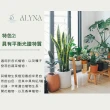 【微糖花植間】Alyna植物生長燈加高組(160cm植物燈架/全光譜植物燈)