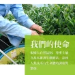 【鑫龍源有機茶】森林花香晨暘茶道杉林溪有機烏龍茶葉半生熟6包組(30g/包-共180g/附提袋/輕發酵/有機認證)