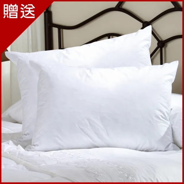 【LooCa】送枕x2-吸濕排汗12cm記憶床墊(雙人5尺)