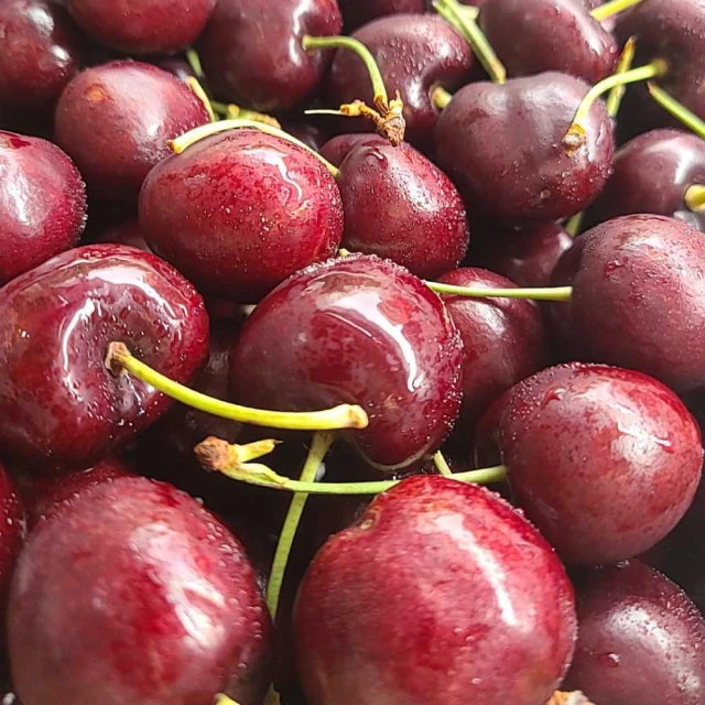 仙菓園 智利海運3JD櫻桃 禮盒裝 1kg±10% 含盒重(