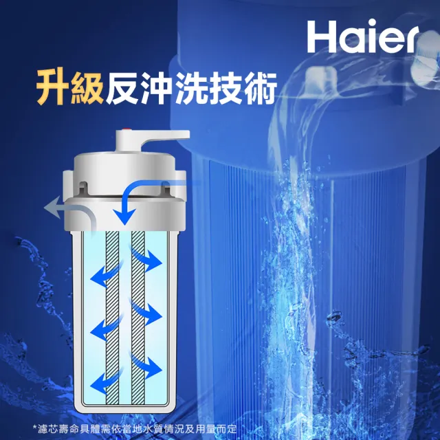 【Haier 海爾】反沖洗中央淨水罐20吋(HR-CWP20-VACF)