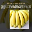 【每日宅鮮】台灣香蕉(600g±10% x5袋/箱 免運)