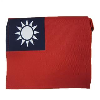 【SNOW.bagshop】簡單式書包國旗小容量防水尼龍布上班休閒臺灣製造品質保證加強車縫背帶耐承重