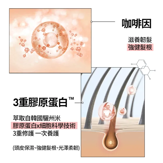 【RYO 呂】全方位頭皮養護潤髮乳 480ml(染燙受損/豐盈蓬鬆)