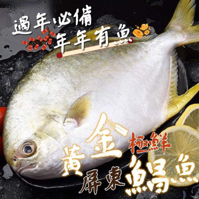 【一手鮮貨】東港黃金鯧魚(2尾組/單尾殺清前500g)