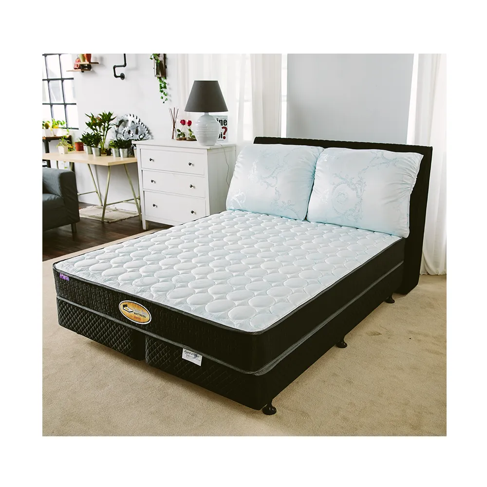 【床的世界】美國首品麗緻系列護背式彈簧床墊 - 雙人  5 X 6.2 尺