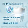 【DARLIE 好來】全亮白基本款牙膏140gX2入(牙齒美白-清新薄荷/青檸薄荷)