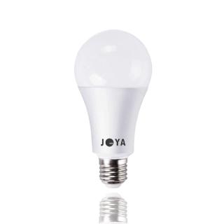 【JOYA LED】2入 臺灣製造 13W LED燈泡 CNS認證 無藍光 高光效 超省電(燈泡)