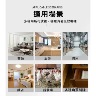 【ROYAL LIFE 皇室生活】全自動家用連續捕鼠器(連續抓鼠/捕鼠器/捕鼠神器/滅鼠器/捕鼠籠)