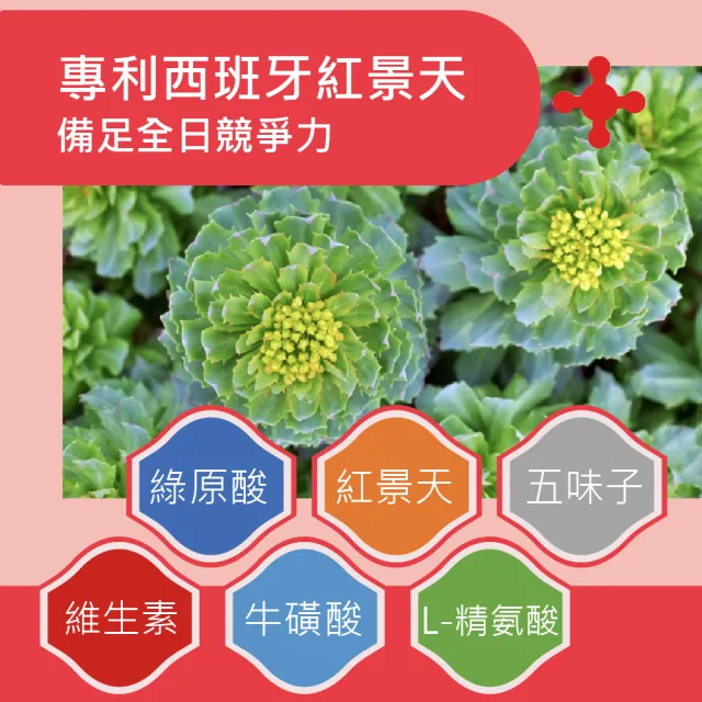 【穆拉德】B+群一氧化氮強化膠囊3入組(共90顆;紅景天、五味子、牛磺酸、精胺酸)