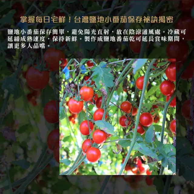 【每日宅鮮】台灣鹽地番茄(600g±5% x4盒／箱 免運)