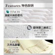 【LooCa】達人乳膠雲端式三線獨立筒床墊(雙人5尺)