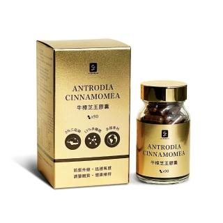 【chenglin 澄霖】澄霖牛樟芝王膠囊1入(共90粒.8%以上總三類 16%以上總多醣體)