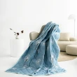 【Blue Cat 藍貓】台灣製造石墨烯涼被 3M吸濕排汗技術 150*200cm 涼感被 四季被 棉被