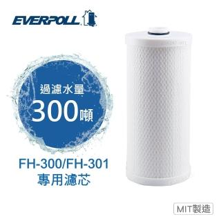 【EVERPOLL】全戶濾淨雙效濾芯 FH-030(FH-301 專用濾芯)