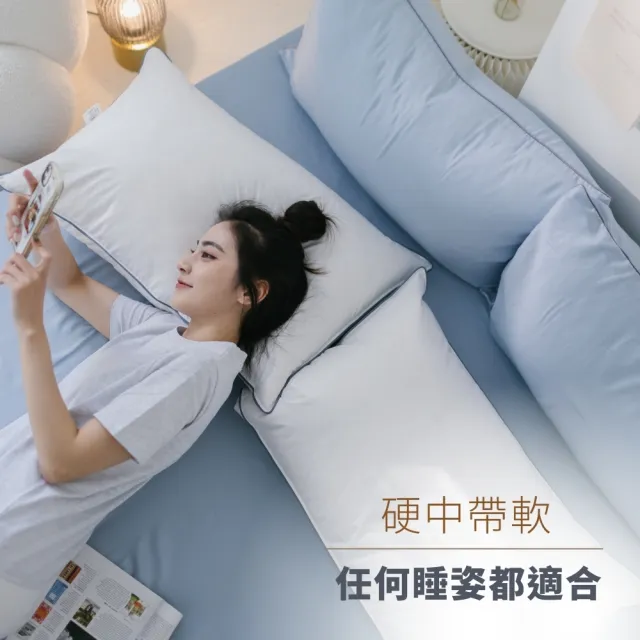 【iDOWN BEDDING】灰條舒適羽毛枕 1 入組(屬於中低枕、躺起來硬實感)