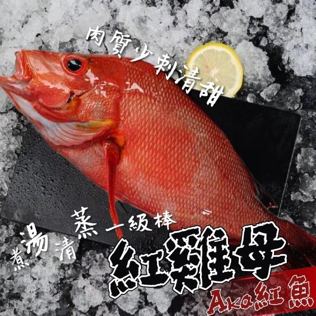 【一手鮮貨】臺灣大紅魚紅雞母(2條組/單尾殺清前500g)