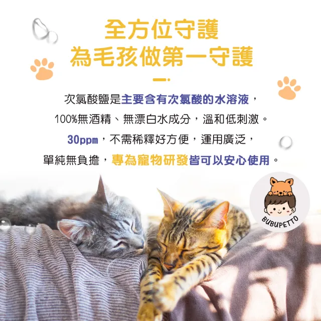 【BUBUPETTO】貓咪玩具清潔用免稀釋次氯酸水-超值組6000mlx1組(貓 寵物 玩具)