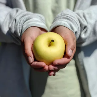 【果樹寶石】日本青森金星蘋果中果18顆x1盒（5KG±10%/盒）（270G±5%/顆）(綿密口感、適長者食用)