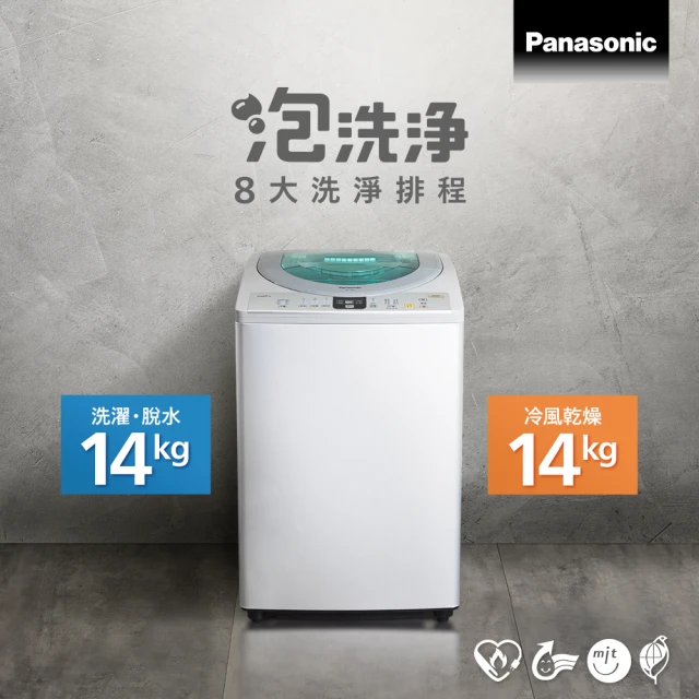 Panasonic 國際牌 15公斤定頻洗脫直立式洗衣機—炫