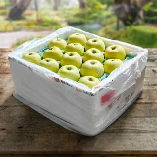 【果樹寶石】日本青森王林蘋果特大果28顆x1箱（10KG原裝箱）（350G±5%/顆）(硬脆多汁、高甜近乎零酸)