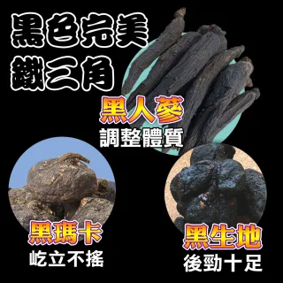 【蔘大王】人蔘瑪卡五寶茶包X4組（6gX10入/組）(雄壯威武 真男人活力之源 強身滋補 增強體力)