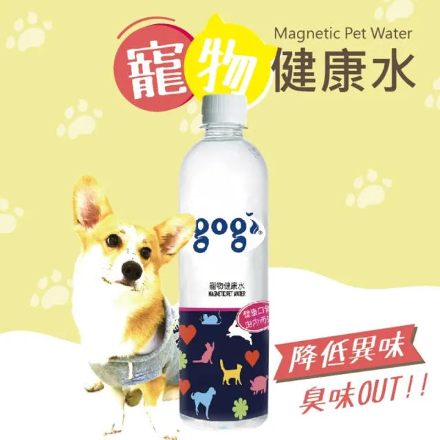 【gogi寵物健康水】600ml/24瓶(泌尿道保健專用/有效降低寵物之異味)