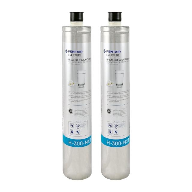 【EVERPURE】美國原裝進口濾心(H300NXT   2入裝  平輸品)