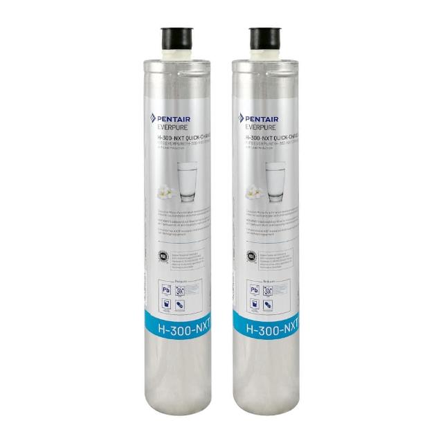 【濱特爾】EVERPURE 美國原裝進口濾心(H300NXT 2入裝 平輸品)