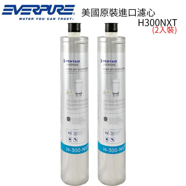 【EVERPURE】美國原裝進口濾心(H300NXT   2入裝  平輸品)