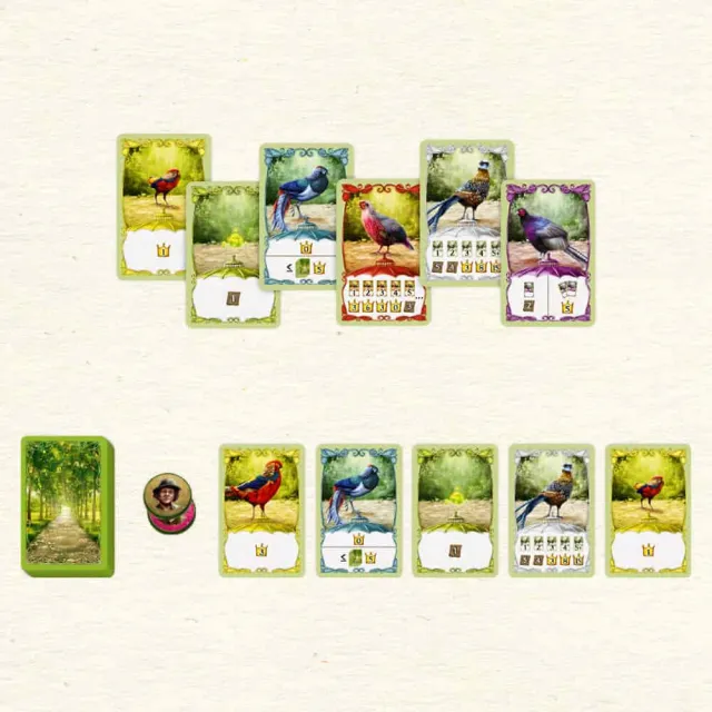 【新天鵝堡桌遊】賞鳥達人-兩盒組(支援4人遊戲)