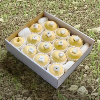 【果樹寶石】日本青森金星蘋果特大果14顆x1盒（5KG±10%/盒）（350G±5%/顆）(綿密口感、適長者食用)