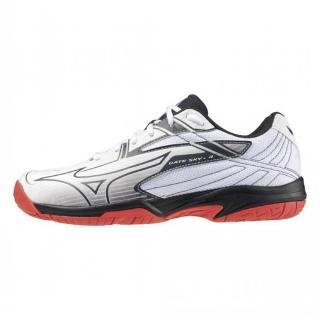 【MIZUNO 美津濃】羽球鞋 男鞋 女鞋 運動鞋 GATE SKY 黑 71GA242140