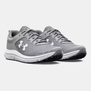 【UNDER ARMOUR】慢跑鞋 男鞋 運動鞋 緩震 CHARGED ASSERT 10 灰 3026175-102