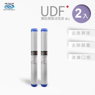 【怡康】全屋過濾濾心 20吋小胖UDF椰殼活性碳濾心2入(本商品不含安裝)