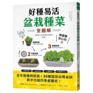 好種易活！盆栽種菜全圖解：無農藥、安心吃！全年栽種時程表X 55種蔬菜培育秘訣 新手也能四季都豐收
